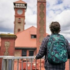 Hete verkoop 🥰 Top 10 ✨ Dakine Rugzak Campus L 33L Night Tropical ✔️ ⭐ -Tassen-Dames Verkoop 550x366 77