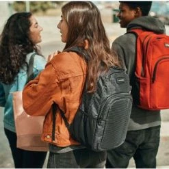 Beste recensies van ⭐ Beste Verkoop 🛒 Dakine Campus Rugzak Unisex 🧨 💯 -Tassen-Dames Verkoop 550x369 6